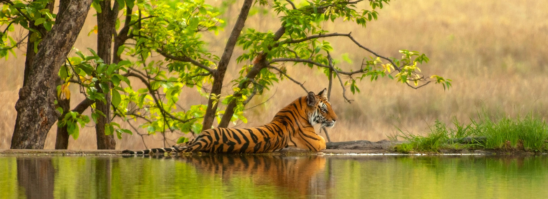 Golden Triangle With Jhalana Leopard Sanctuary